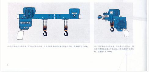Hanging chain hoist